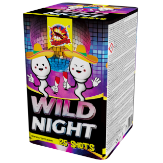 Kompaktní ohňostroj WILD NIGHT 25 ran