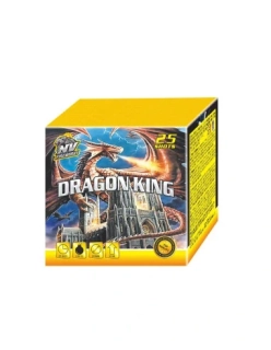 Kompaktní ohňostroj DRAGON KING 25 ran
