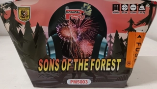 Tichý ohňostroj FOSONS OF THE FOREST 36 ran