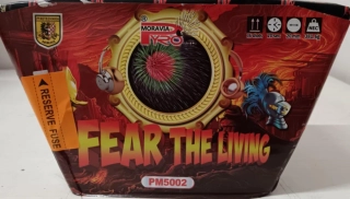 Tichý ohňostroj FEAR THE LIVING 36 ran